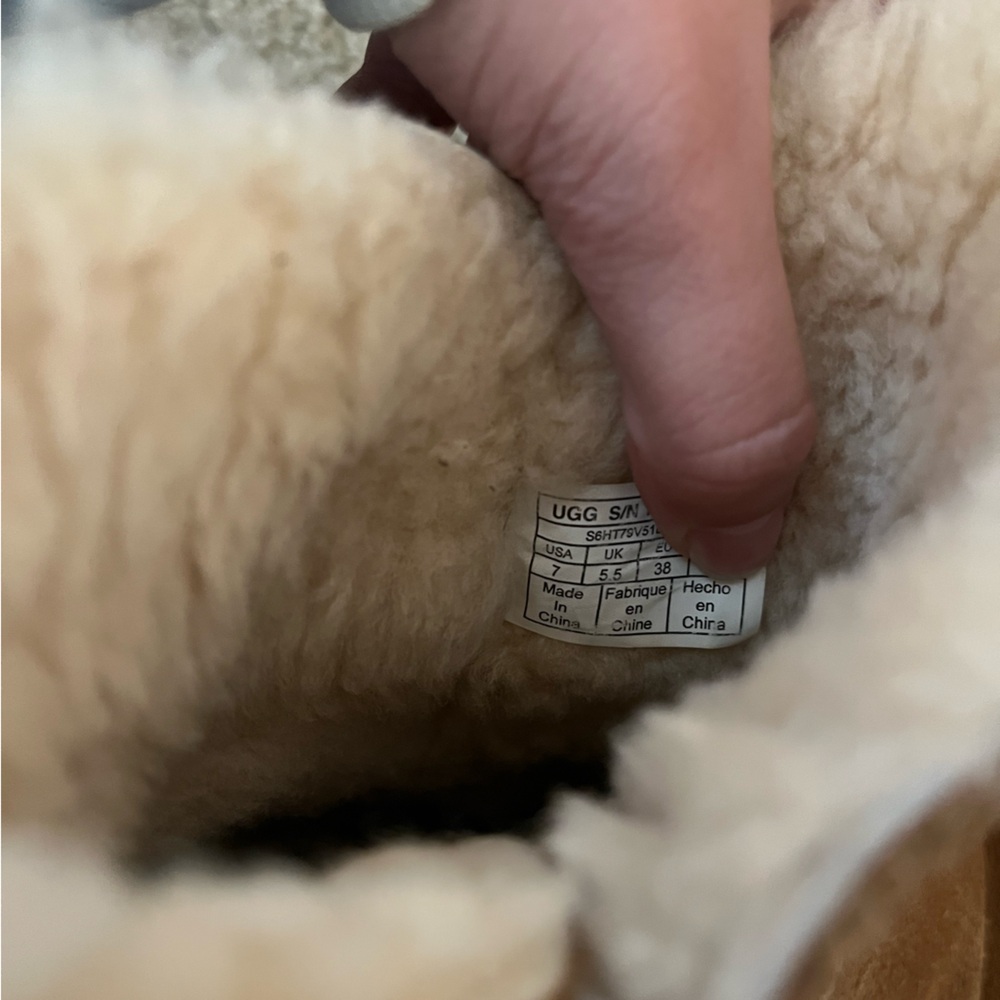 Chestnut Uggs - image 8